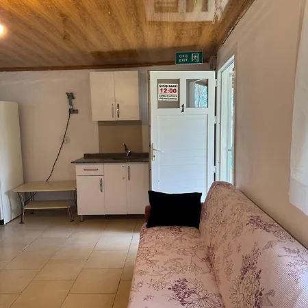 Guenes Tatil Koeyue Bademli (Dikili)