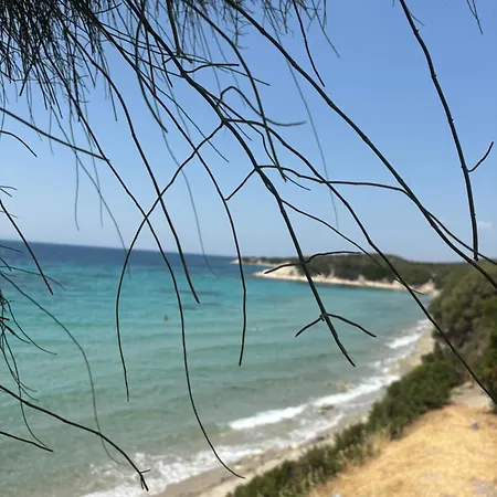 Case de vacanță Guenes Tatil Koeyue *