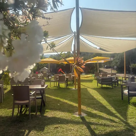 Guenes Tatil Koeyue Bademli (Dikili)