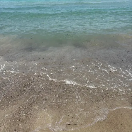 Guenes Tatil Koeyue Bademli (Dikili)